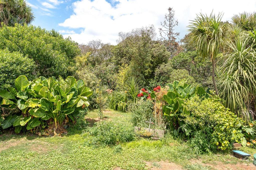 Oneroa Bay Villa Waiheke Kültér fotó