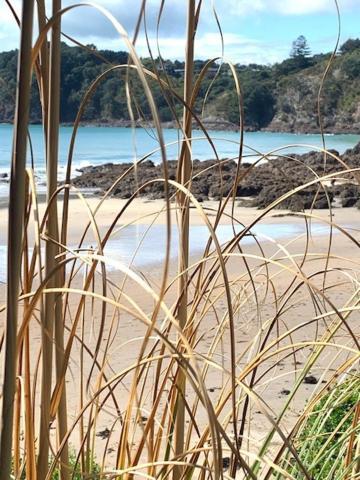Oneroa Bay Villa Waiheke Kültér fotó