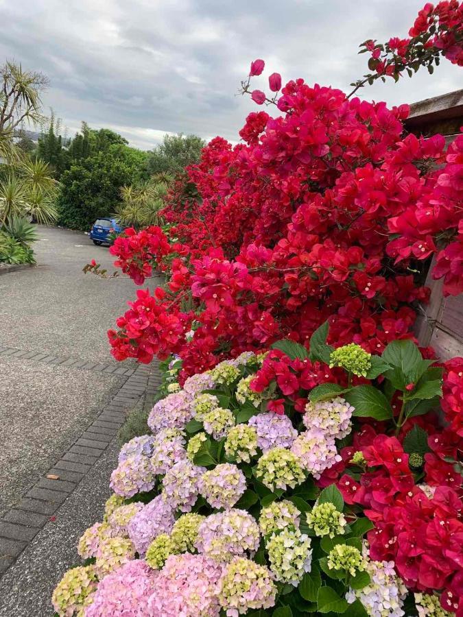 Oneroa Bay Villa Waiheke Kültér fotó